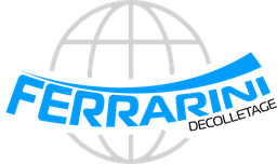 Logo of Ferrarini